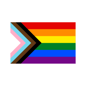 Drapeau Progress Pride en nylon ou polyester fabriqué au Québec – L’Étendard