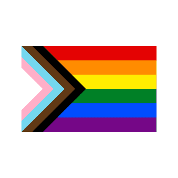 Drapeau Progress Pride en nylon ou polyester fabriqué au Québec – L’Étendard