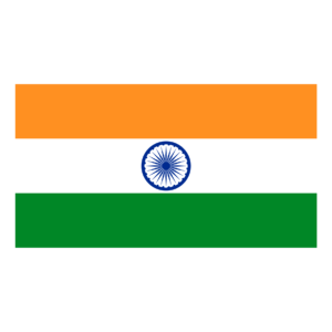 india india