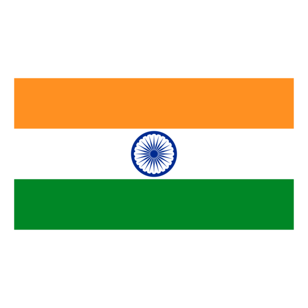 india india