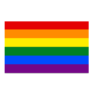 rainbow flag / lgbt