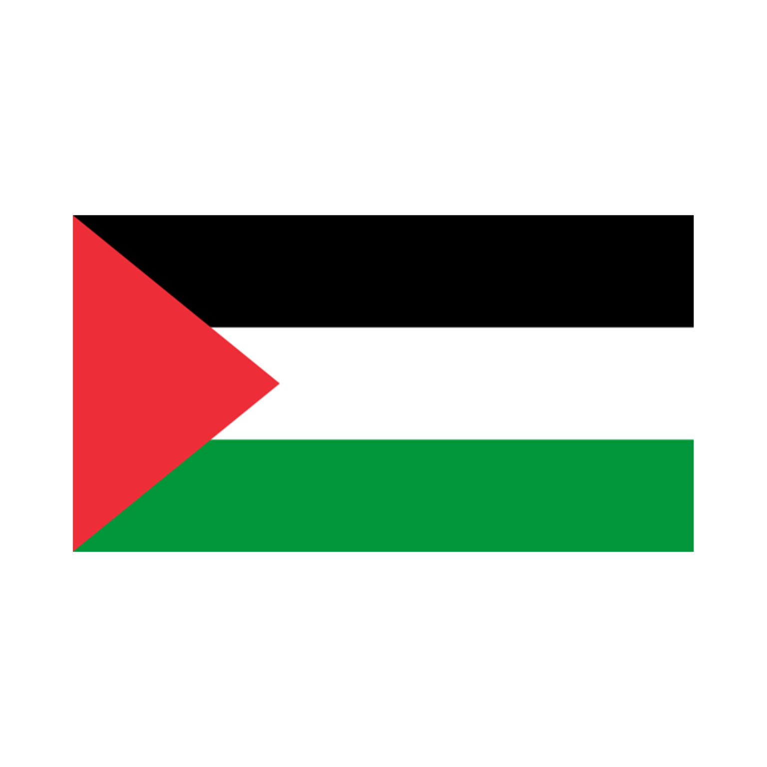drapeau-de-la-palestine-l-tendard-drapeaux-banni-res